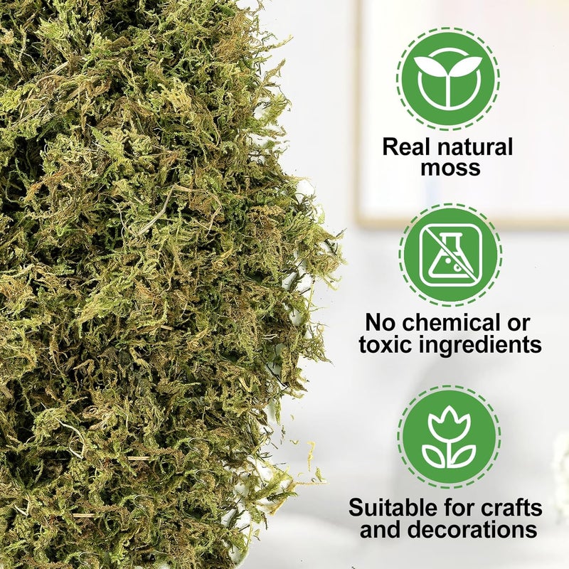 Alphatool 70oz Jumbo Pack Natural Green Moss for Crafts - Bulk Moss for Plants Indoor, Artificial Fairy Gardens, Mosswall, Filling Fake Plants, Floral Design, Home Decoration, Professional DIY Use - Image 4